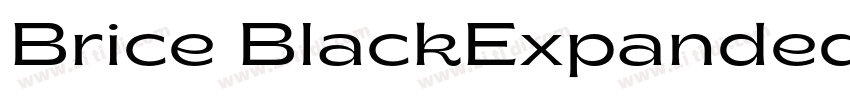 Brice BlackExpanded字体转换
